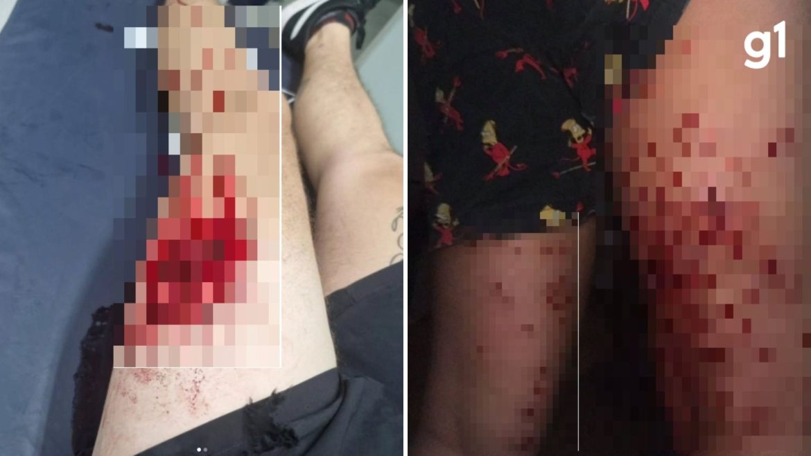 ‘nao-teve-resistencia,-nao-teve-discussao,-so-comecei-a-apanhar’,-diz-professora-trans-agredida-por-pms-em-porto-alegre