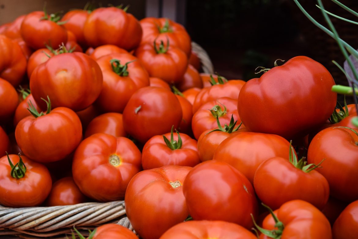 calor-extremo-e-estiagem-fizeram-alimentos-ficarem-mais-caros-no-rs,-avalia-ceasa;-tomate-dobrou-de-preco-em-um-mes