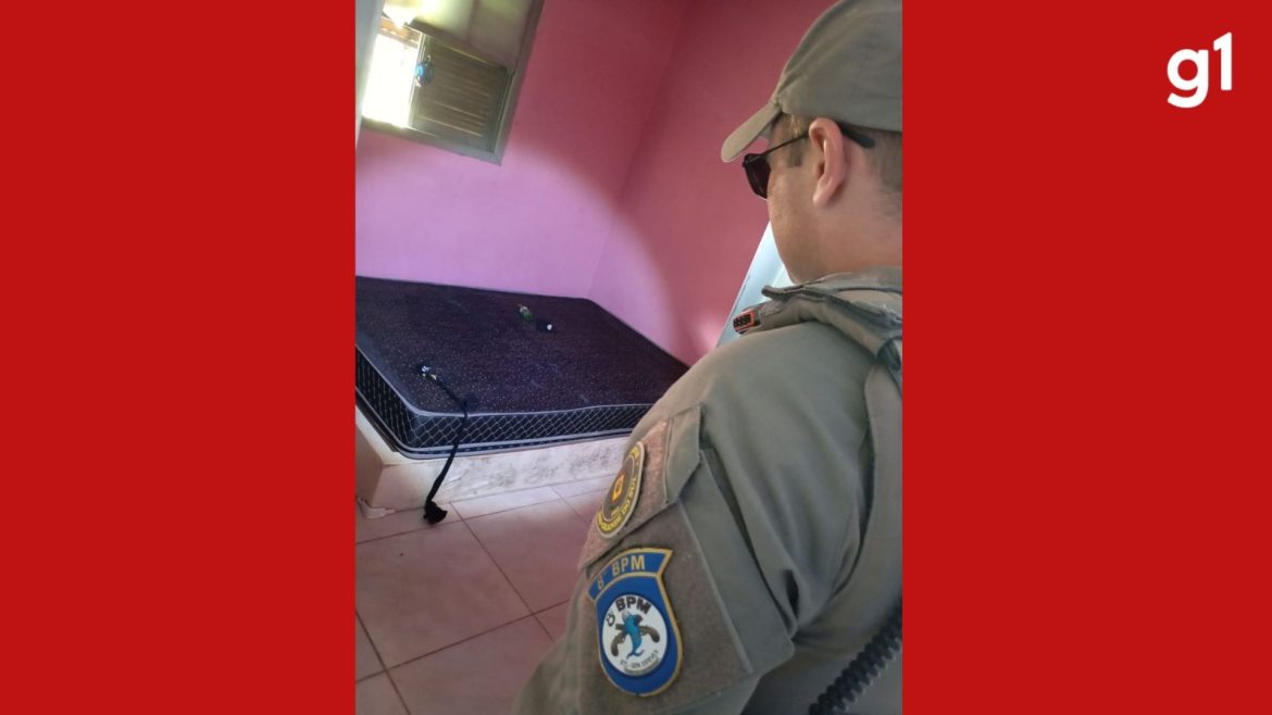 casal-de-empresarios-e-resgatado-de-cativeiro-apos-24-horas-sequestrados-no-rs,-diz-policia;-funcionaria-foi-presa