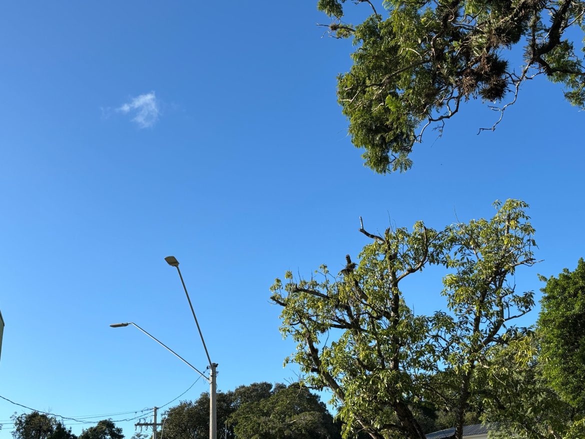 com-avanco-de-massa-de-ar-polar,-rs-tem-amanhecer-com-minimas-abaixo-dos-10oc;-veja-previsao