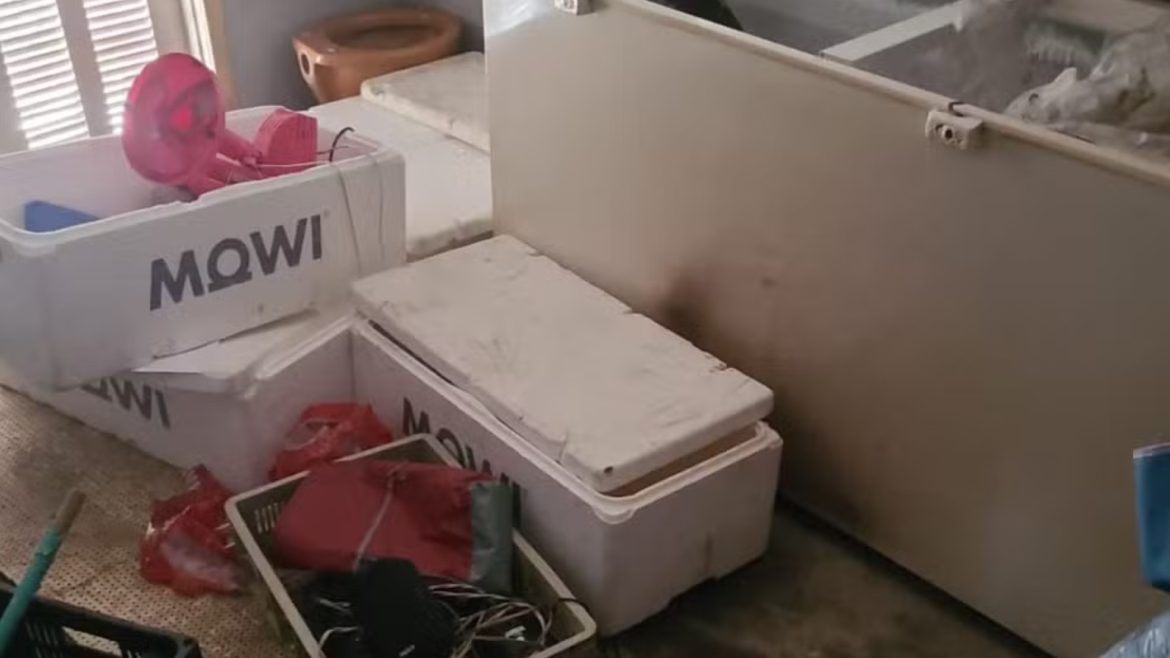 mp-denuncia-companheira-e-enteado-pelo-assassinato-de-homem-que-teve-corpo-esquartejado-e-escondido-em-freezer-no-rs