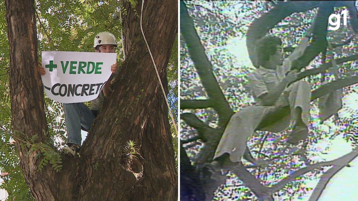 video:-‘ainda-estamos-aqui’,-diz-ambientalista-que-salvou-arvore-ha-50-anos;-ato-foi-repetido-em-porto-alegre