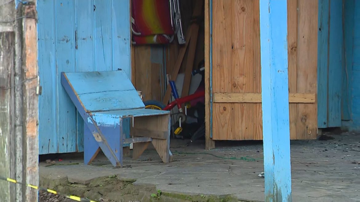 pais-tentaram,-mas-nao-conseguiram-salvar-menino-de-4-anos-de-incendio-em-taquara,-diz-delegado;-ele-morreu