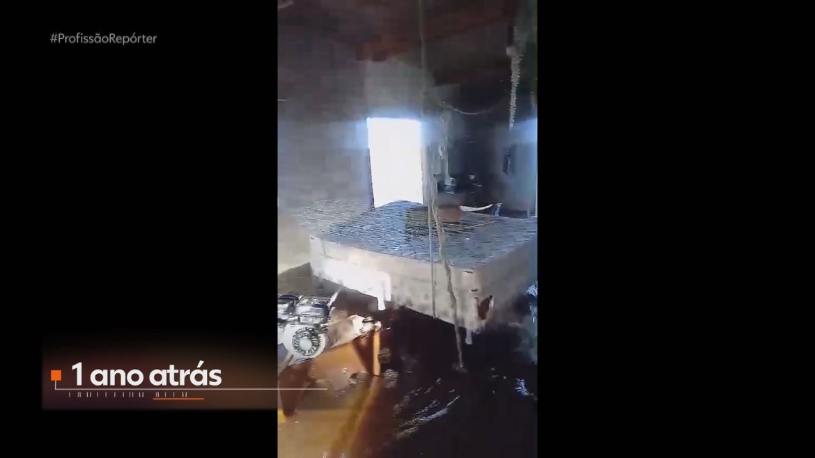 homem-que-pendurou-cama-no-teto-conta-que-passou-a-morar-em-barco-com-caes-e-gatos-apos-enchente-no-rs