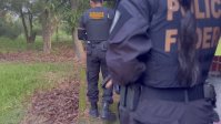 para-registra-reducao-de-36%-em-area-com-alerta-de-desmatamento-em-marco