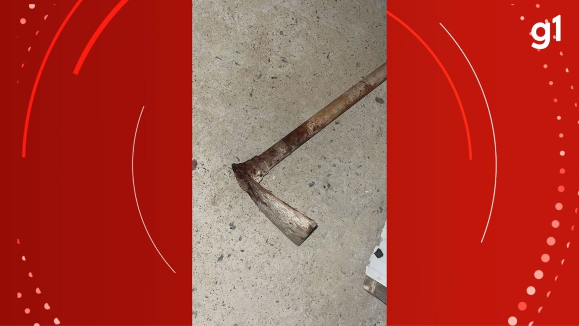 suspeito-de-matar-mulher-com-golpes-de-pa-e-enxada-por-divida-de-r$-600-e-preso-no-rs,-diz-policia