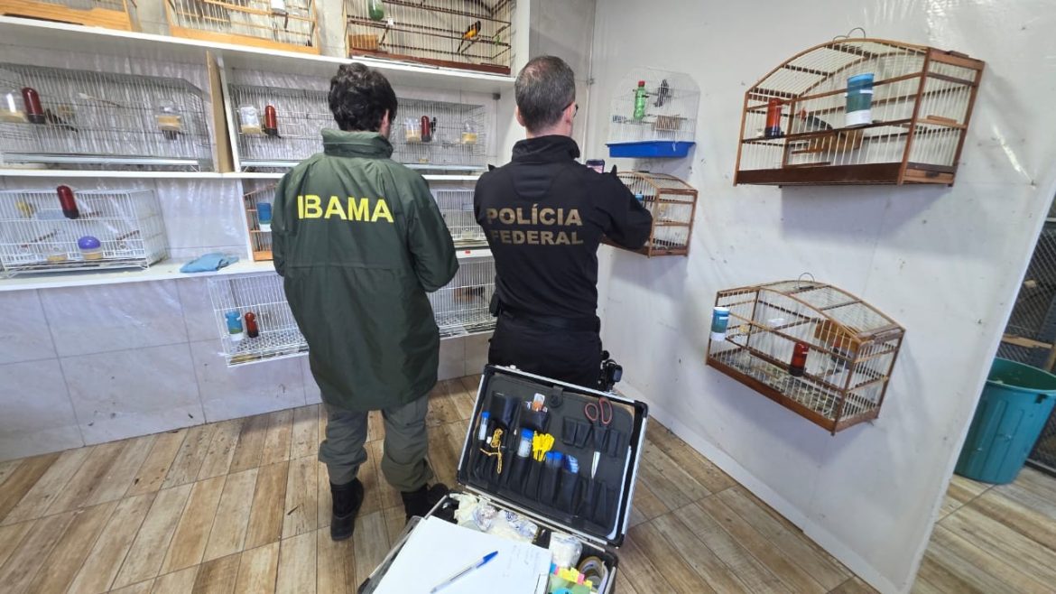 cinco-sao-presos-durante-acao-da-pf-no-rs-e-em-outros-tres-estados-contra-trafico-internacional-de-animais