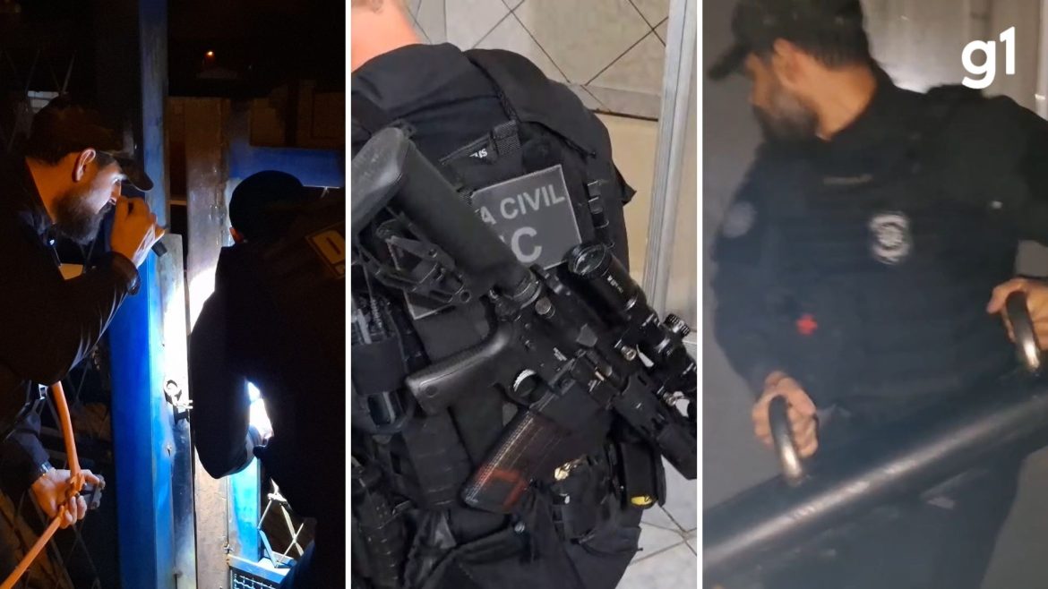 organizacao-criminosa-e-suspeita-de-hackear-contas-gov.br-e-aplicar-golpes-com-a-venda-de-carros-clonados-no-rs