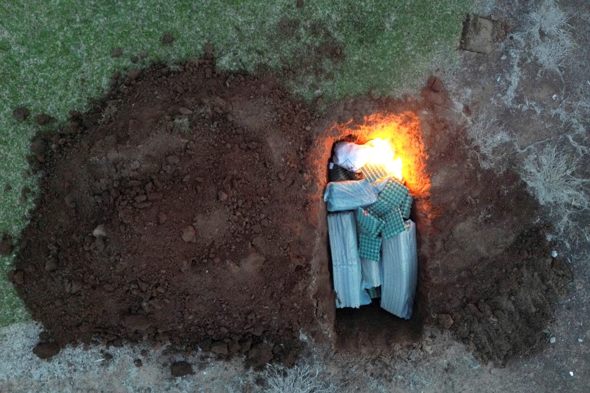 material-genetico-e-coletado-em-propriedade-rural-a-3-km-do-primeiro-foco-de-gripe-aviaria-no-rs