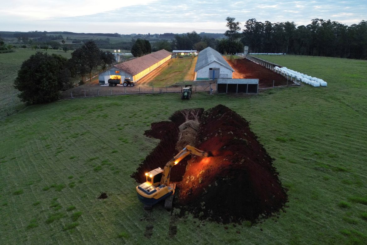 exame-de-funcionario-de-granja-no-rs-descarta-gripe-aviaria,-diz-secretaria-da-saude