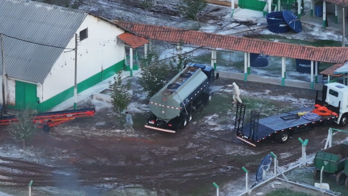 granja-no-raio-de-10-km-de-foco-de-gripe-aviaria-adianta-abate-de-60-mil-galinhas-em-montenegro-por-precaucao