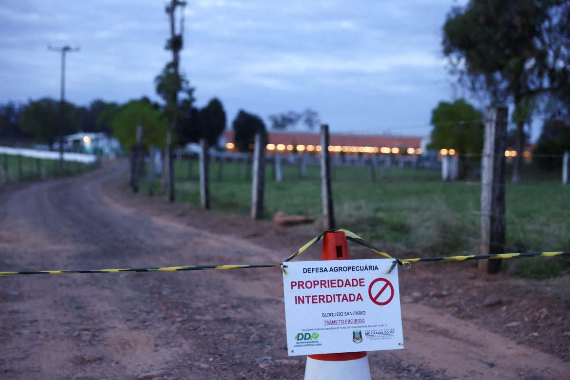 ministerio-da-agricultura-encerra-1o-foco-de-gripe-aviaria-em-granja-comercial-do-brasil