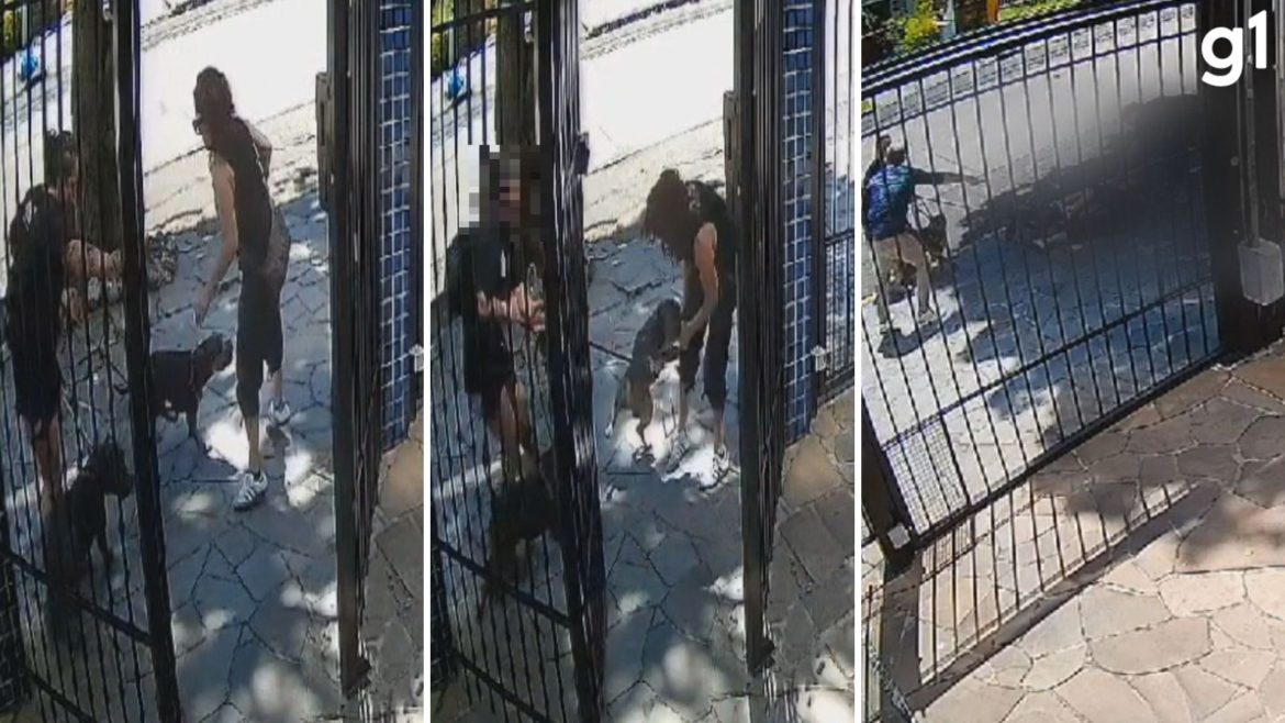 tutora-de-caes-que-atacaram-mulher-em-porto-alegre-vira-re-por-tentativa-de-homicidio;-relembre-video