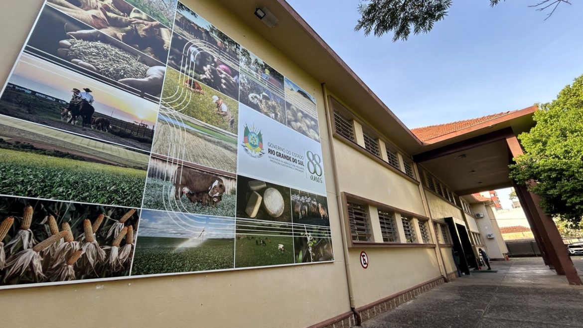 primeiro-caso-de-gripe-aviaria-em-granja-comercial-do-brasil-e-detectado-no-rs,-diz-ministerio-da-agricultura