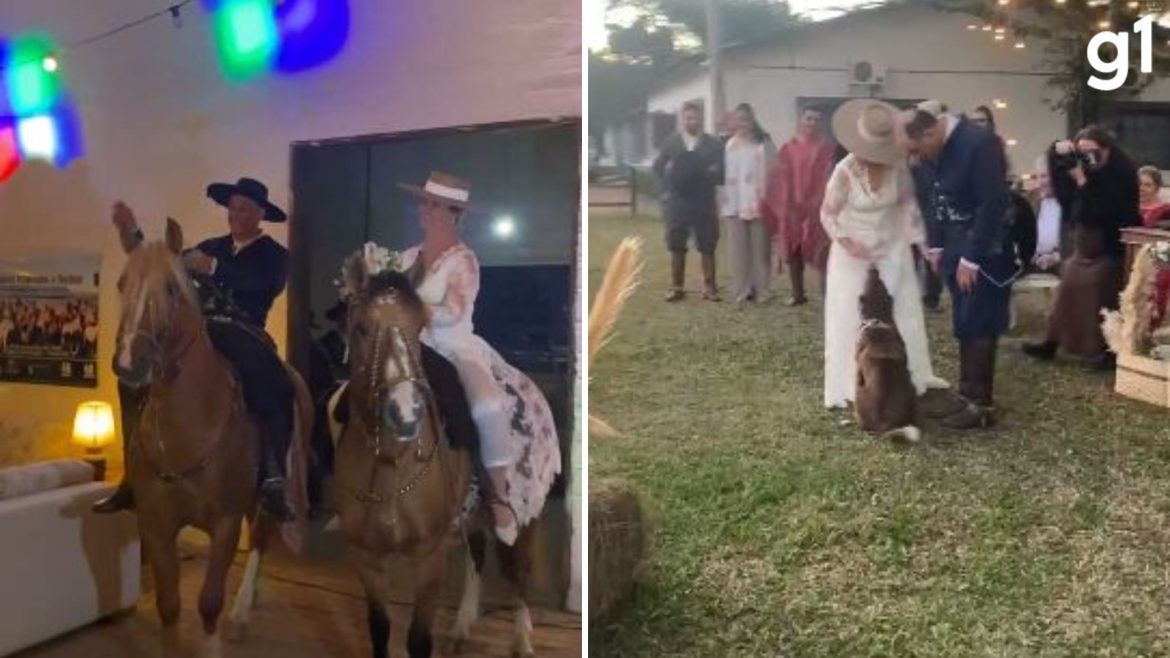 cao-leva-aliancas-e-casal-entra-a-cavalo-em-festa-de-casamento-no-rs;-assista