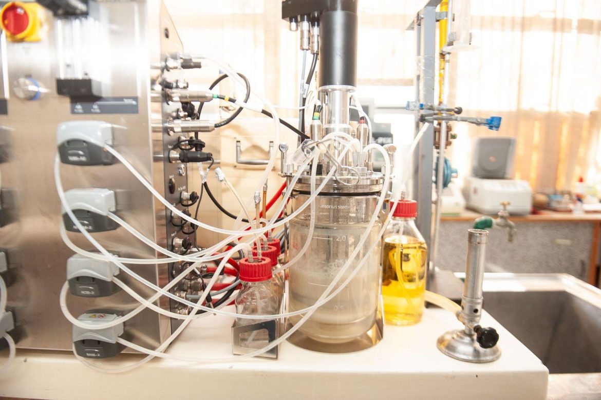 kombucha-sob-controle:-estudo-mostra-que-padronizacao-da-bebida-tem-atividade-antioxidante-maior-que-comercial