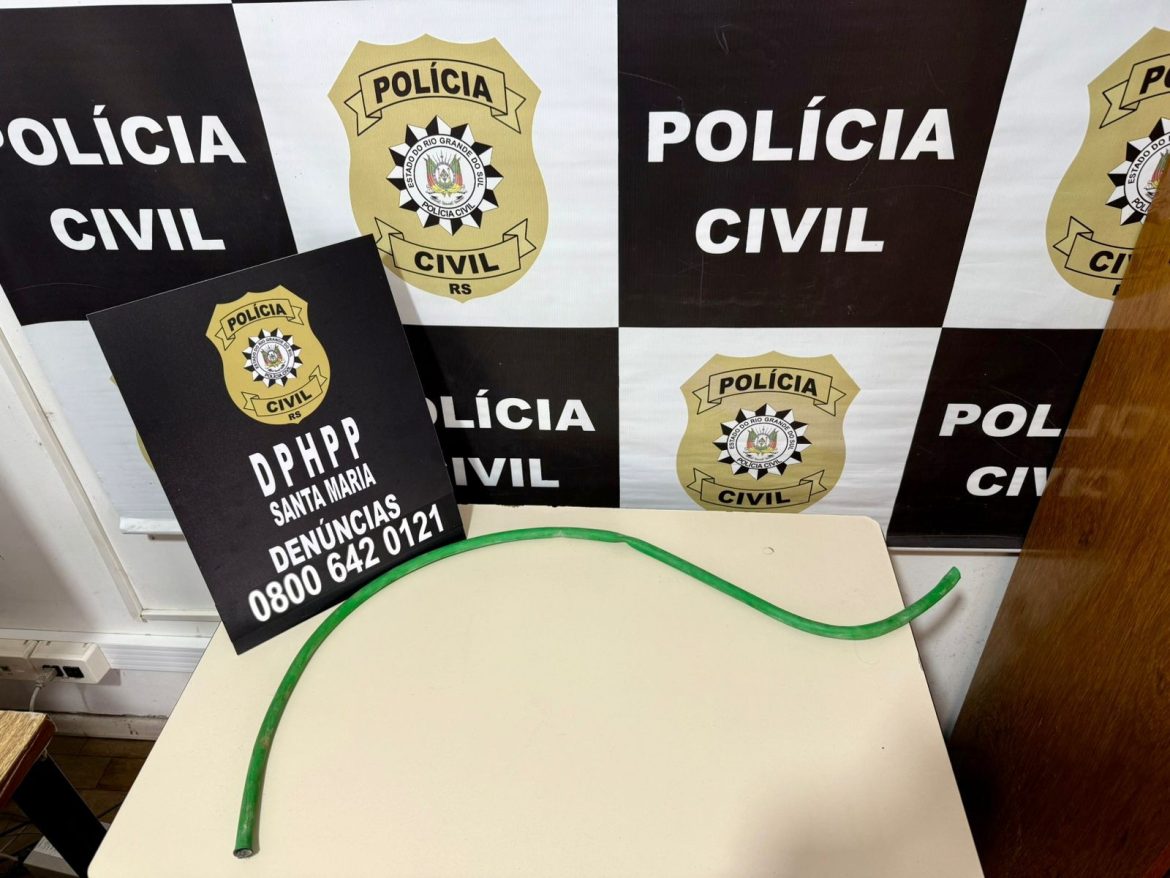 suspeito-de-matar-jovem-encontrado-dentro-de-geladeira-em-santa-maria-e-preso,-diz-policia