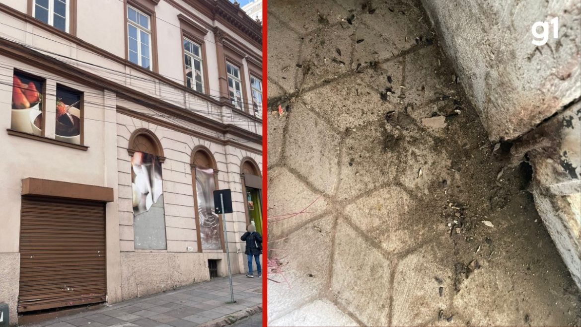 apos-vigilancia-apontar-fezes-de-ratos-em-chocolates,-deposito-de-franquia-e-interditado-em-porto-alegre