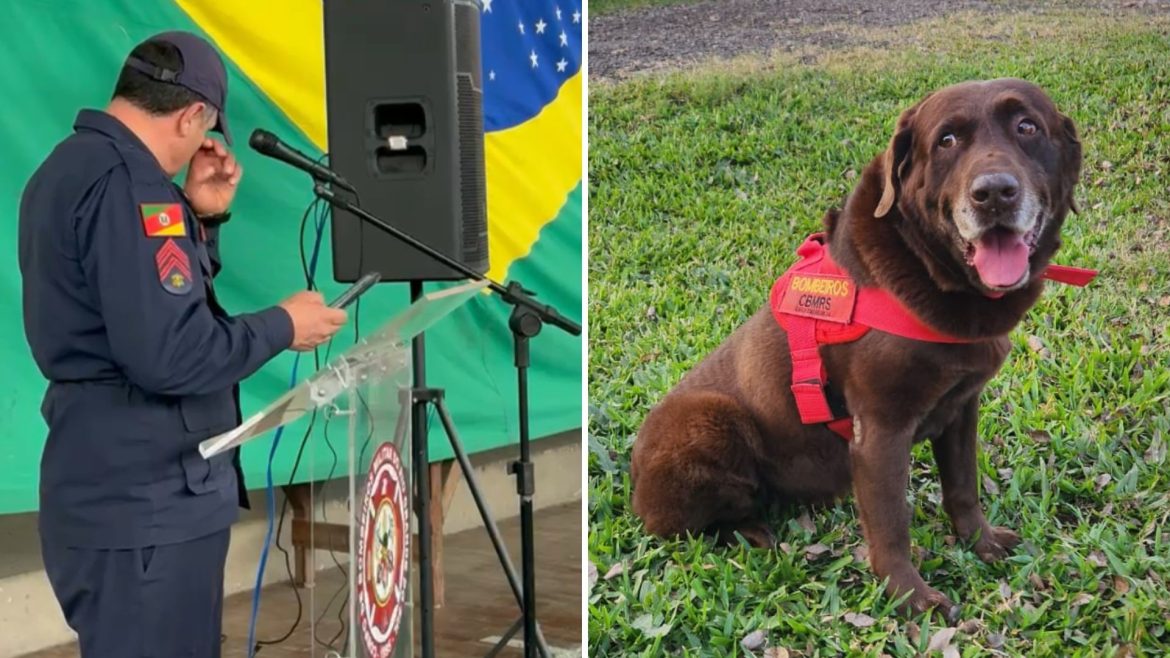 video:-bombeiro-se-emociona-em-despedida-a-cao-que-atuou-em-nas-enchentes-do-rs-e-em-resgates-de-brumadinho