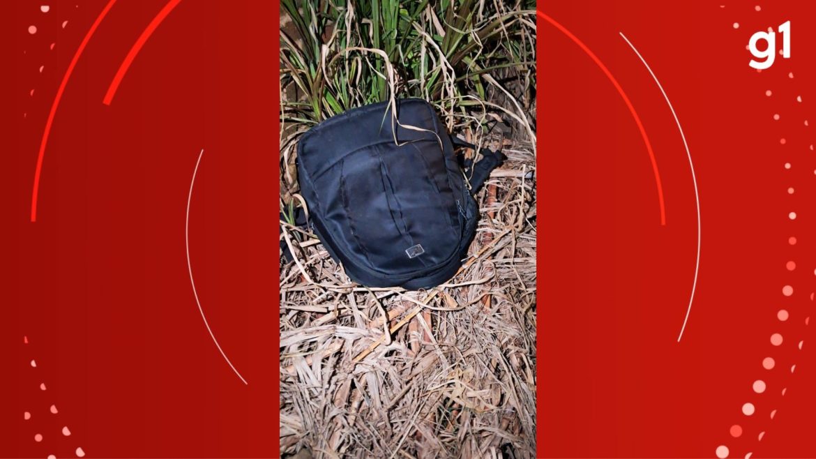 morador-encontra-mochila-com-corpo-de-recem-nascido-em-terreno-baldio-no-rs;-policia-civil-investiga-o-caso