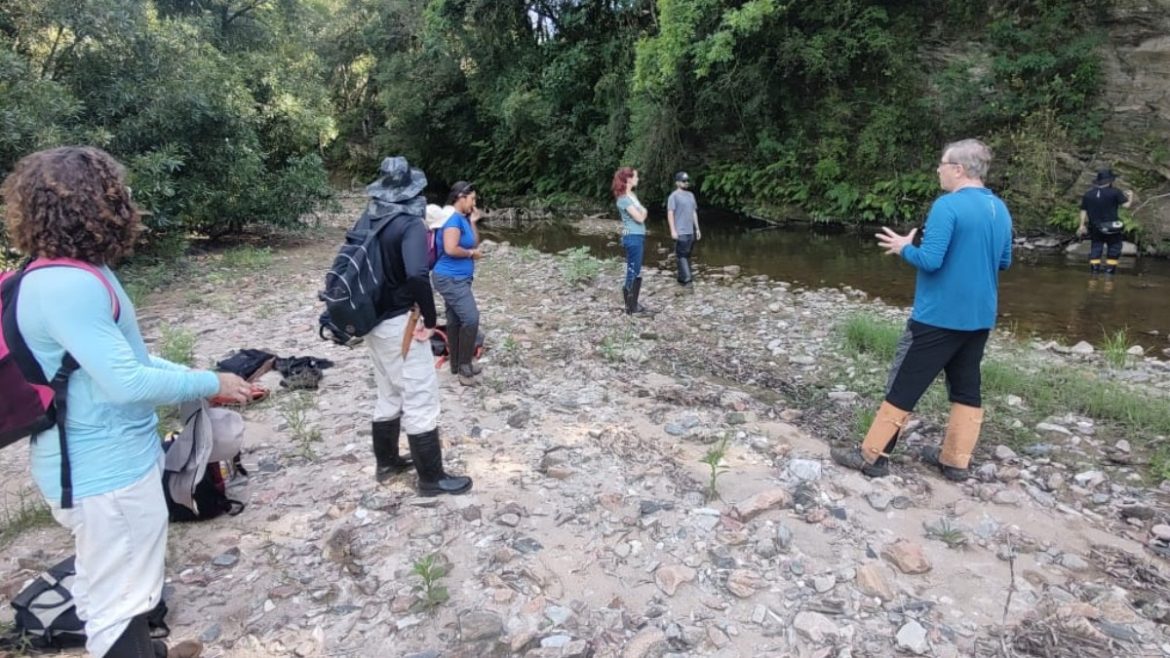 pesquisadores-identificam-alta-concentracao-de-terras-raras-na-regiao-central-do-rs