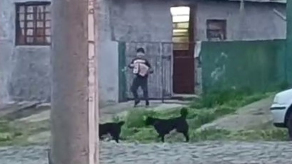 surpresa-da-fronteira:-menino-que-sonha-em-‘tocar-em-conjunto-grande’-ganha-gaita-de-cesar-e-rogerio