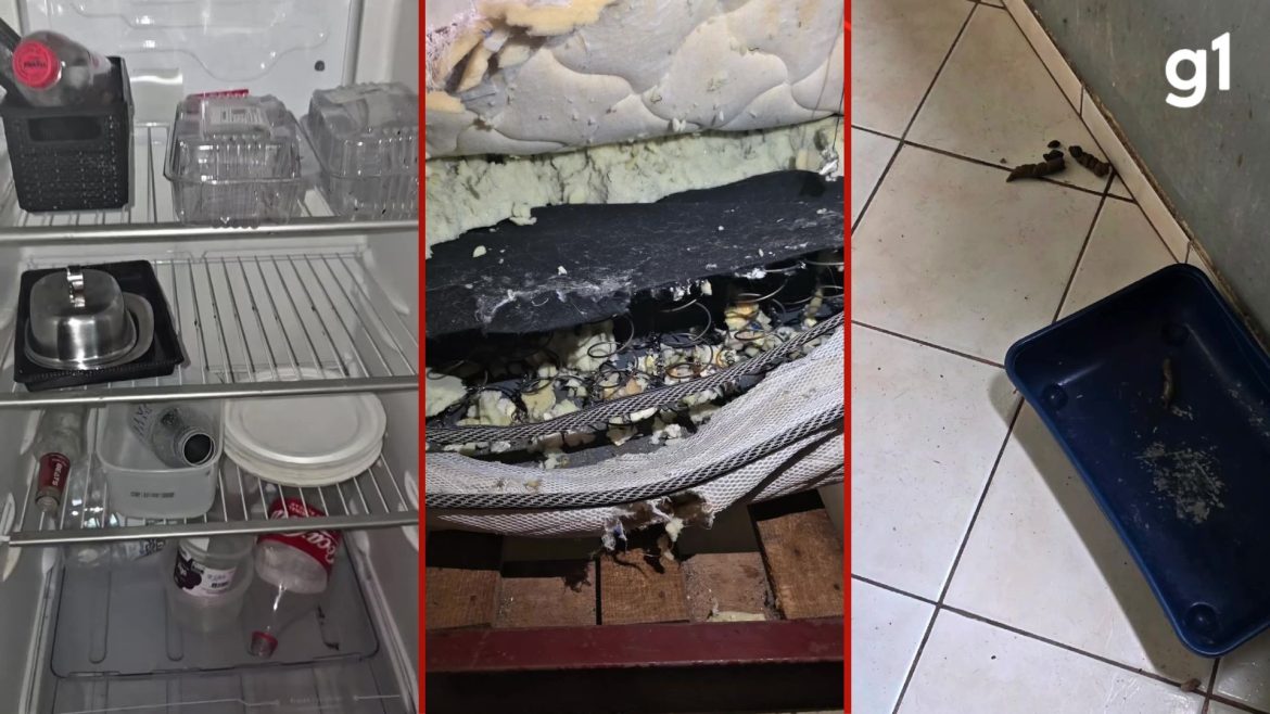 ex-atriz-e-encontrada-em-situacao-de-vulnerabilidade-com-sete-animais-em-apartamento-de-porto-alegre