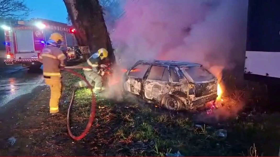 carro-bate-em-arvore-e-pega-fogo-em-viamao;-uma-pessoa-morreu