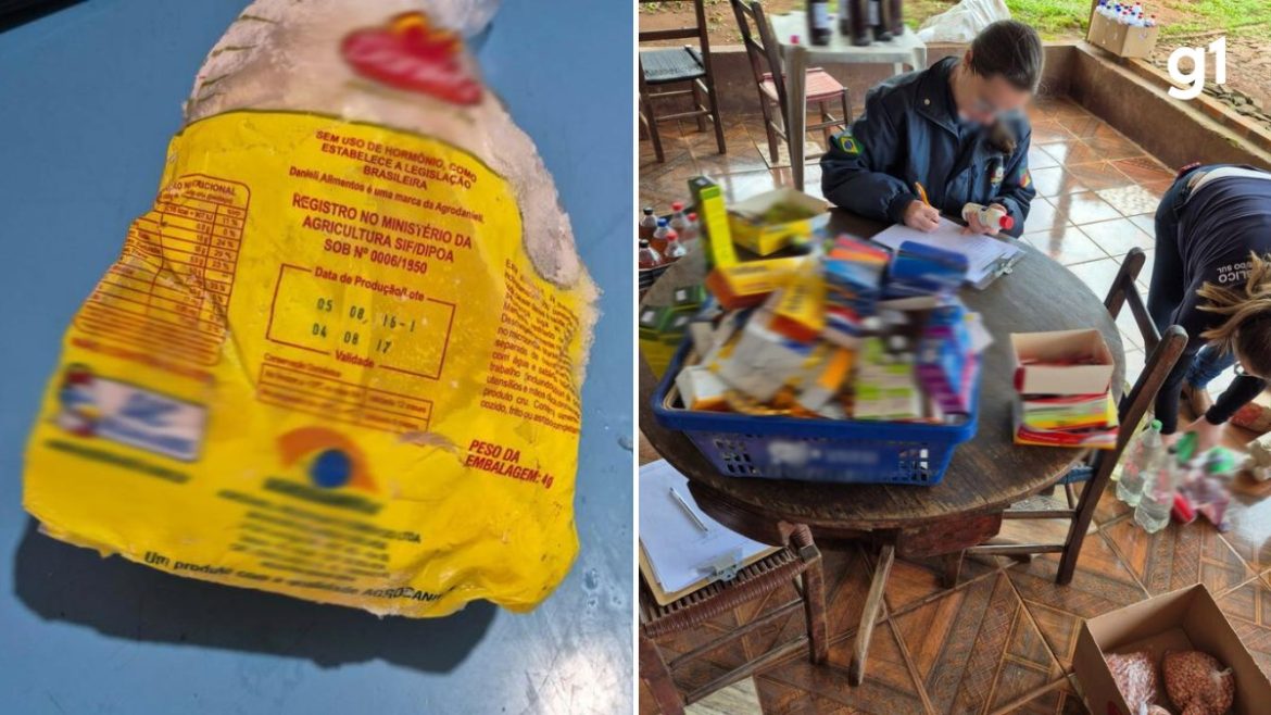 frango-vencido-ha-8-anos-e-apreendido-em-deposito-de-mercado-durante-fiscalizacao-no-rs