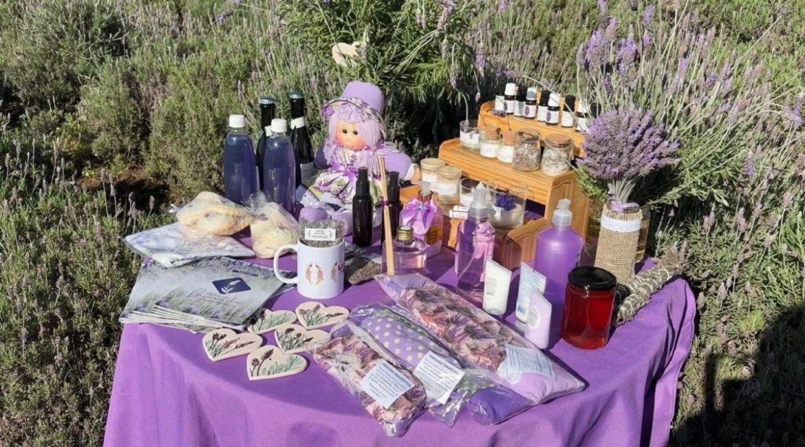 chope,-cuca,-erva-mate-e-ate-sorvete:-conheca-‘rota-da-lavanda’,-novo-atrativo-turistico-de-cidade-no-rs