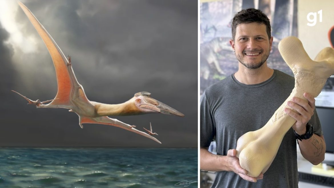 fossil-de-reptil-voador-gigante-e-identificado-por-equipe-sirio-brasileira-no-oriente-medio