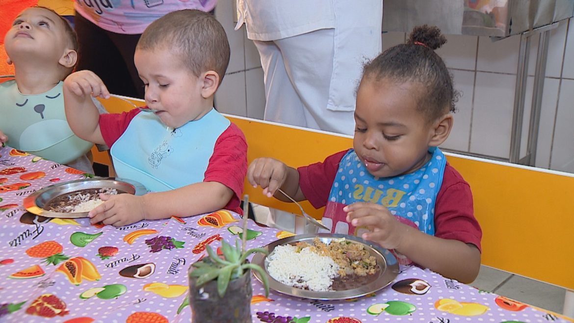 banco-de-alimentos-do-rs-completa-25-anos-com-mais-de-300-milhoes-de-refeicoes-distribuidas banco-de-alimentos-do-rs-completa-25-anos-com-mais-de-300-milhoes-de-refeicoes-distribuidas
