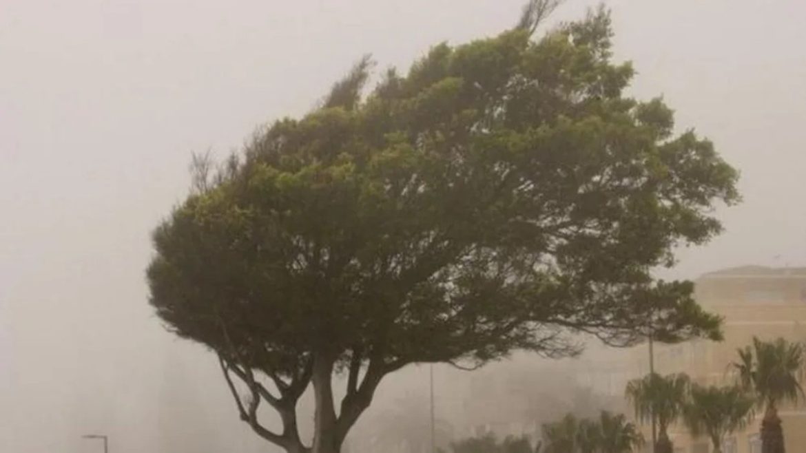 ciclone-extratropical-chega-ao-rs-na-noite-desta-quinta;-saiba-quais-cidades-devem-ser-afetadas-por-tempestades