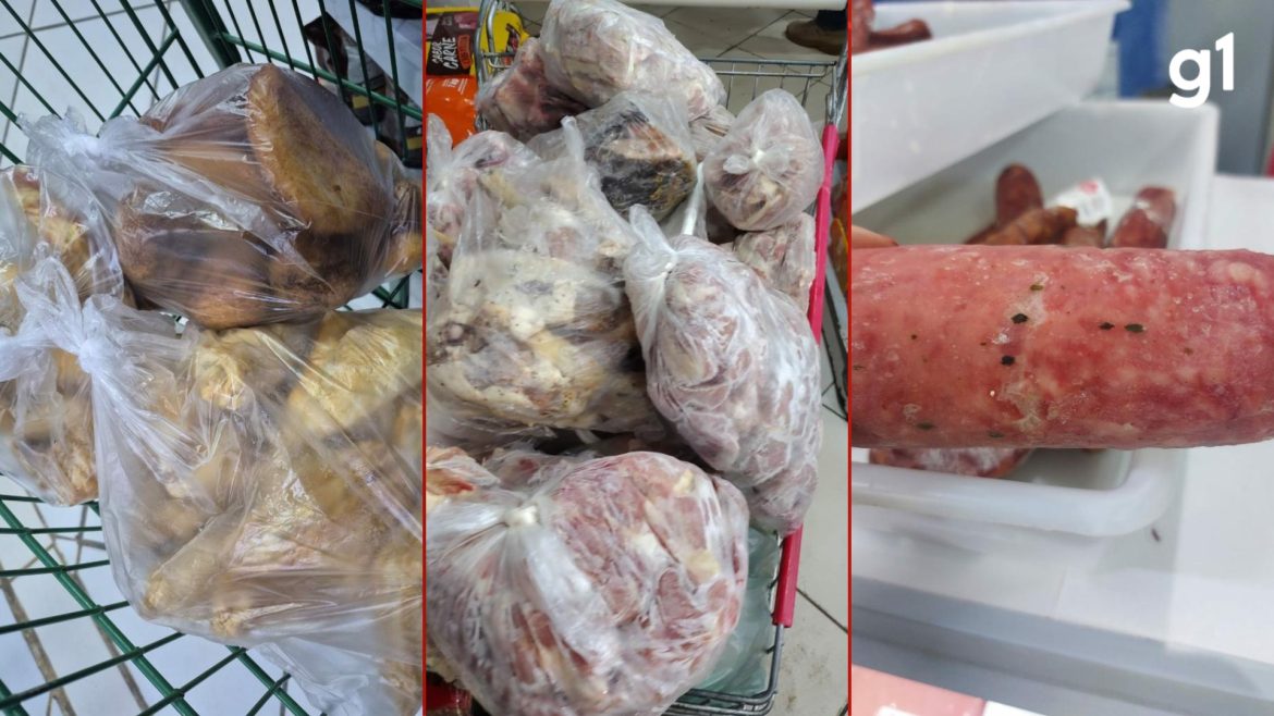 carne-vencida-ha-3-anos-e-apreendida-em-freezer-de-supermercado-durante-fiscalizacao-em-barao-do-triunfo
