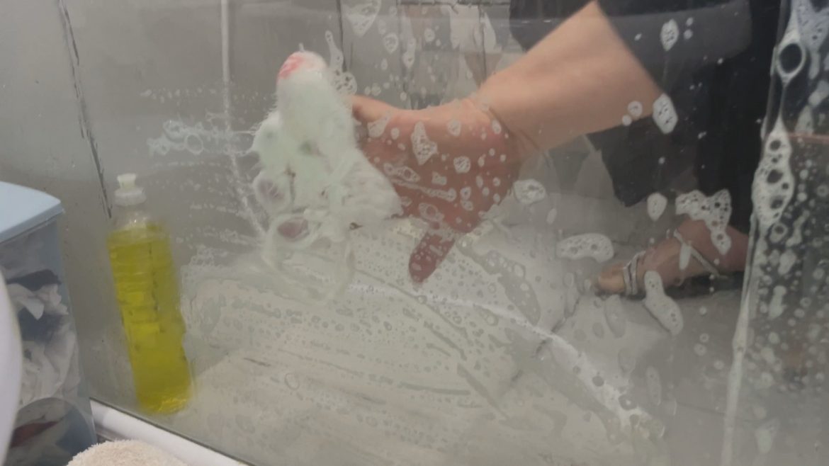 e-verdade-que-sacola-plastica-limpa-o-box-do-banheiro-melhor-do-que-esponja-e-pano?-especialista-explica-tecnica