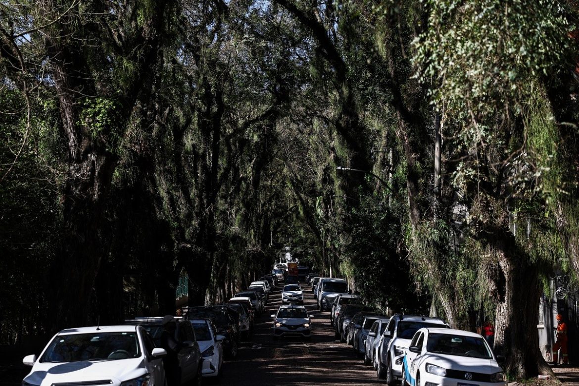 porto-alegre-tem-‘rua-mais-bonita-do-mundo’,-com-mais-de-100-arvores-formando-tunel-verde;-saiba-de-onde-vem-a-fama