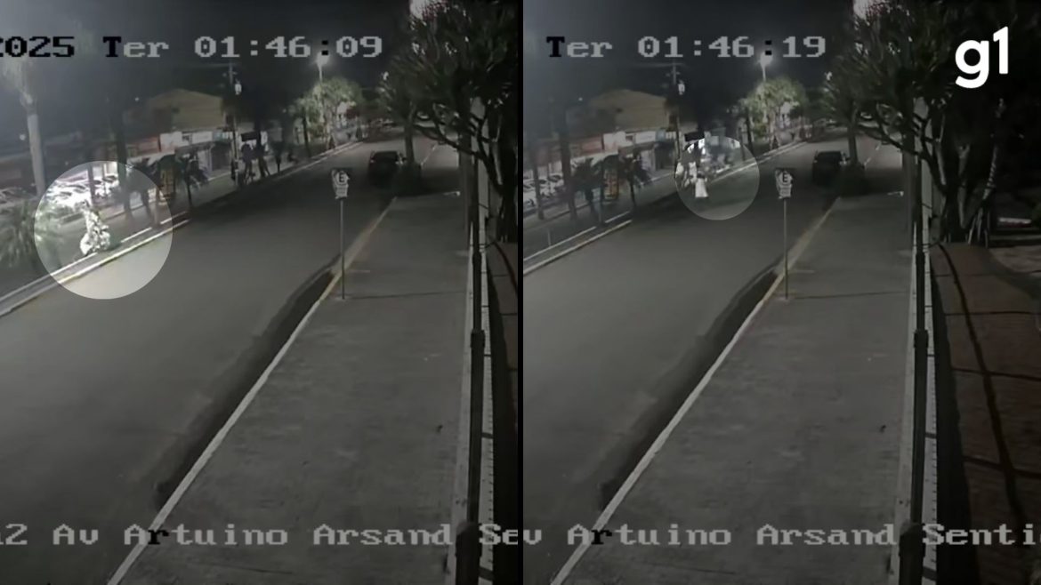 video:-mulher-furta-pinheirinho-de-natal-em-avenida-comercial-no-rs