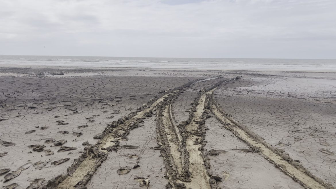 por-que-parte-da-maior-praia-do-brasil-esta-interditada-por-lama?-entenda