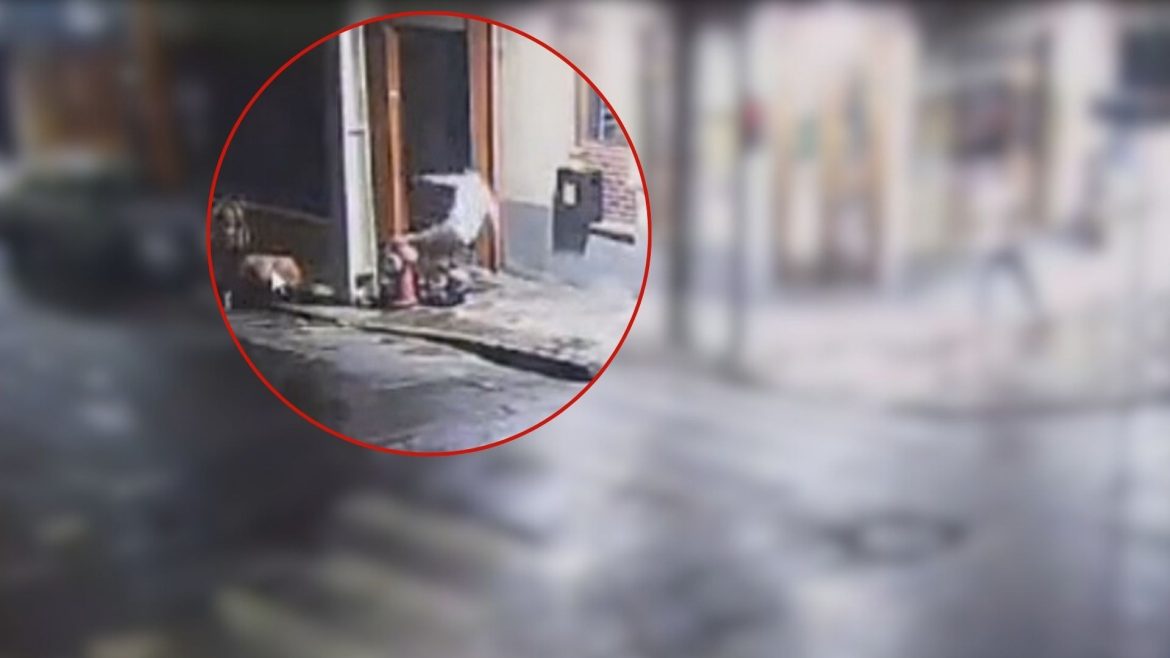 advogado-e-morto-e-outro-baleado-apos-discussao-em-bar-no-centro-de-porto-alegre,-diz-policia