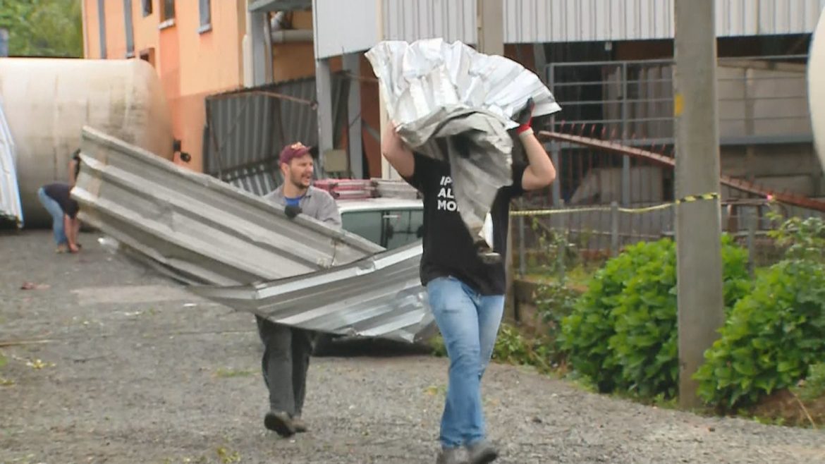 apos-tornado-destruir-parreirais,-produtores-se-unem-em-mutirao-para-reconstruir-vinicola-na-serra-do-rs
