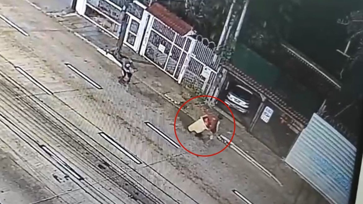 cameras-mostram-corpo-de-mulher-vitima-de-feminicidio-sendo-levado-dentro-de-lixeira-em-porto-alegre;-video