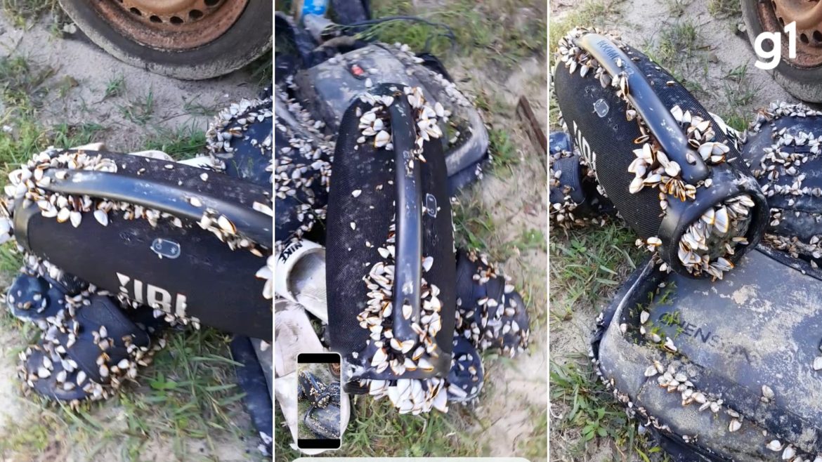 pescador-encontra-caixa-de-som-intacta-e-funcionando-apos-ser-levada-pelo-mar;-video-viraliza-nas-redes