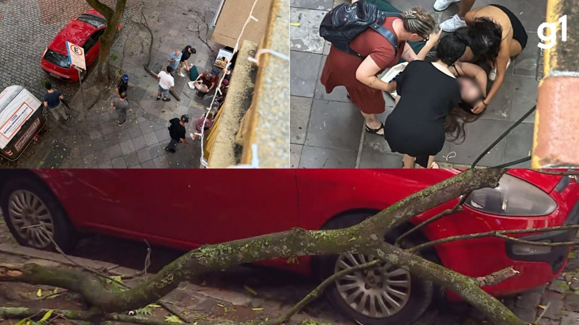 ‘perdi-a-consciencia’,-diz-jovem-atingida-por-galho-de-arvore-durante-ventos-de-quase-90-km/h-no-rs;-veja-video