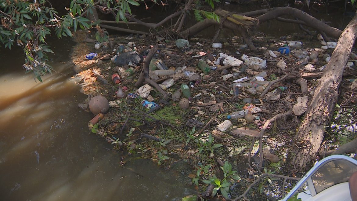‘ilhas-de-lixo’-voltam-a-se-formar-no-rio-gravatai,-no-rs;-especialistas-indicam-ameaca-a-fauna-do-local