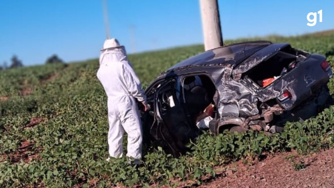 video:-abelhas-cobrem-para-brisa,-carro-capota-e-mulher-segue-internada-no-noroeste-do-rs