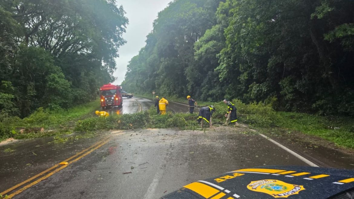 passagem-de-ciclone-extratropical-deixa-estragos-em-18-municipios-no-rs,-segundo-defesa-civil;-veja-fotos-e-videos