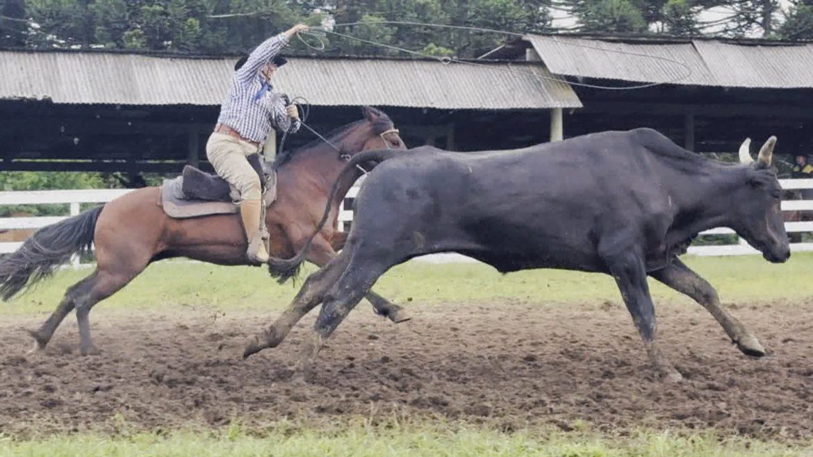 como-relacao-entre-pais-e-filhos-mantem-vivos-os-rodeios-crioulos-no-rs