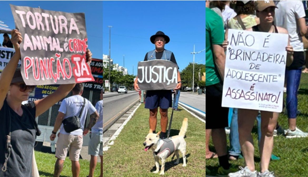 caso-cao-orelha-mobiliza-manifestacoes-em-florianopolis-e-em-varias-cidades-do-brasil