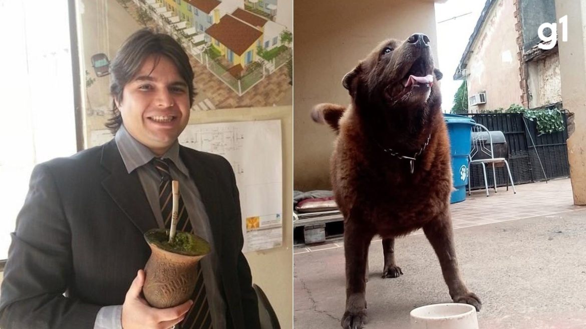 guarda-municipal-vai-a-juri-por-matar-vizinho-e-balear-cachorro-no-rs;-animal-sobreviveu