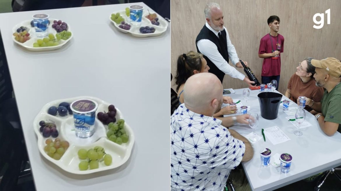 voce-sabia?-feira-no-rs-promove-degustacao-de-uvas-e-expoe-quase-200-variedades-da-fruta